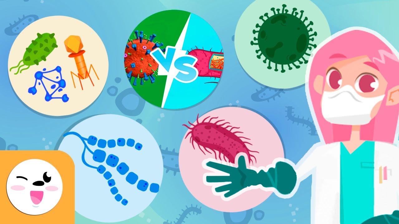 Los microorganismos - Recopilación - Los virus, las bacterias y los hongos - Explicación para niños
