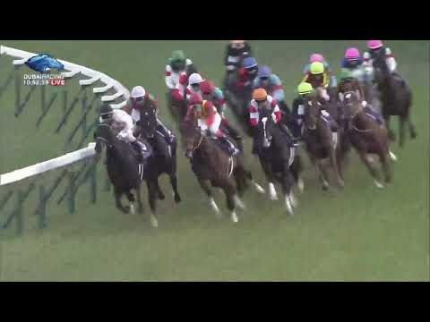 2019.11.17 Mile Championship (JPN) - Indy Champ