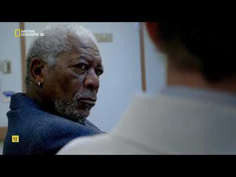 The Story of God (Freeman & Newberg)