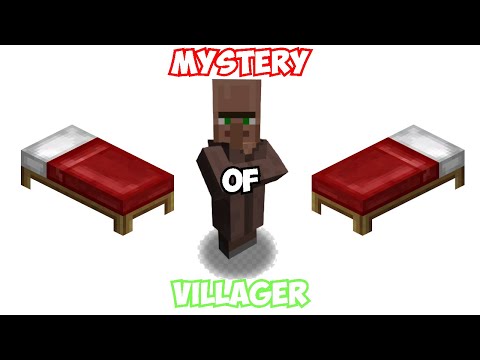 Mystic Villager: Mind-Blowing Minecraft Secret