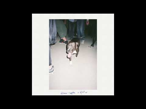 SLONZ - LEPOTA U GLAVI