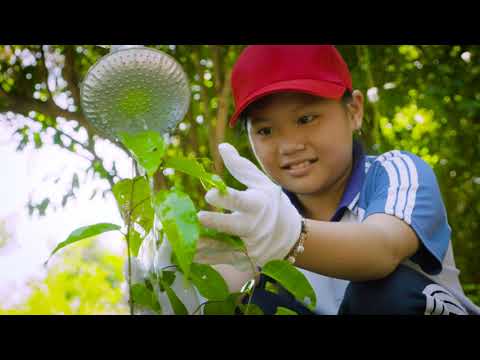 Quỹ OMO Vườn Ươm Lộc Quý Việt Nam