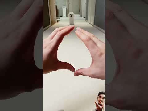 Cute🐶 puppy with cute training #dog 🐶🐕 #puppy 🐶 #pets #subscribe #shorts #viralvideo