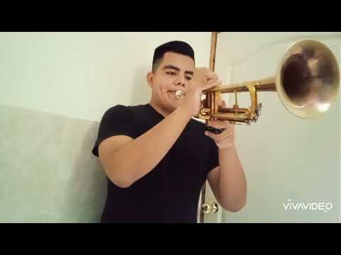 Marshmello - Manuel Turizo El Merengue (cover trompeta)