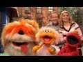 Sesame Street Song Walking The Dog