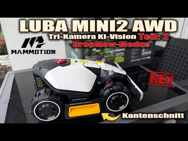 Judge.me YouTube video placeholder