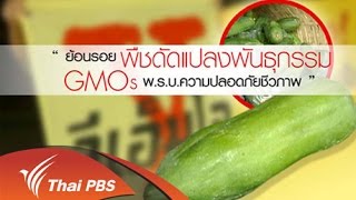 ย้อนรอย พืชดัดแปลงพันธุกรรม GMOs พ.ร.บ.ความปลอดภัยชีวภาพ