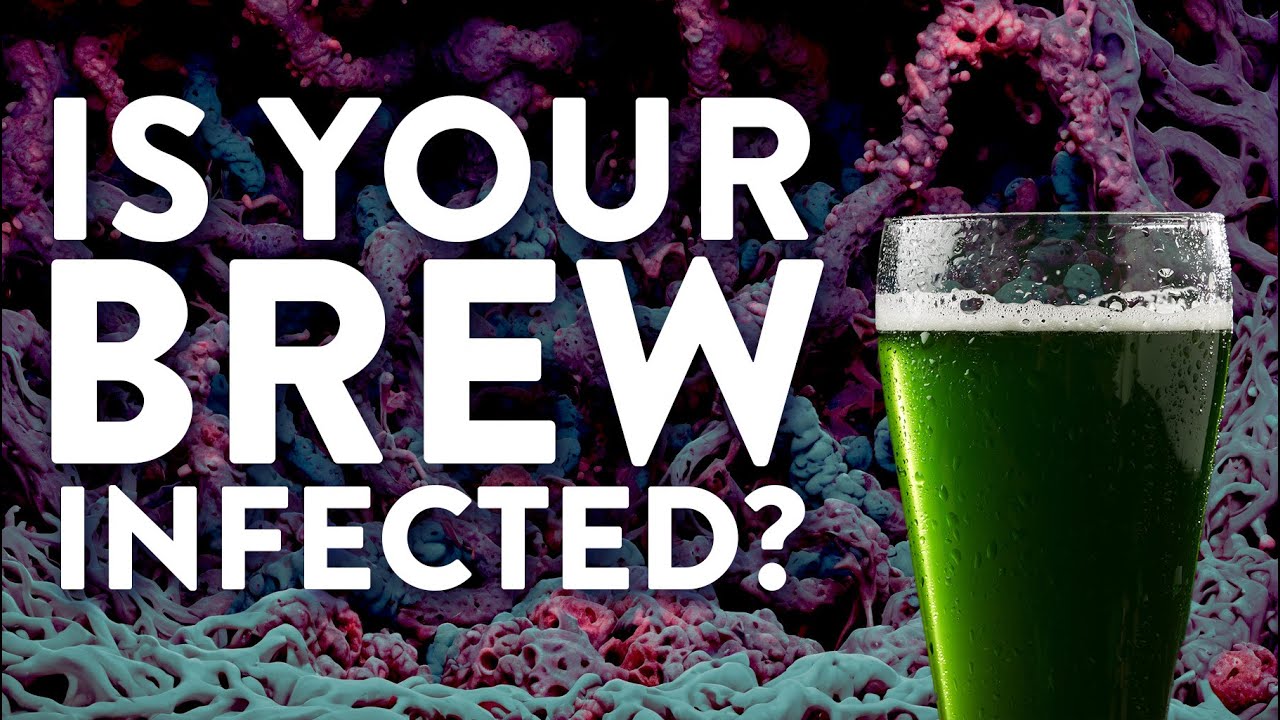 How to identify MOLD & other WEIRD stuff in your mead, beer, wine, or cider