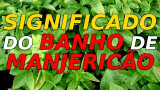 BANHO DE MANJERICÃO PARA QUE SERVE? Pode mudar sua vida!