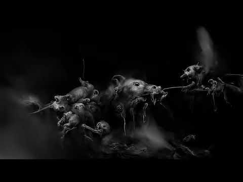 Metal Supergroup Firstborne Release New Single 'Dead Rats' | Ultimate ...