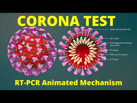 Updated Coronavirus real time RT PCR Test Simplified Mechanism