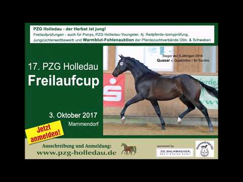 "Der Herbst ist jung": PZG Holledau - Freilaufcup 2017 mit Fohlenauktion