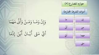 شرح نظم الآجرومية مع التشجير //46//الشيخ محمد محمود الشنقيطي image