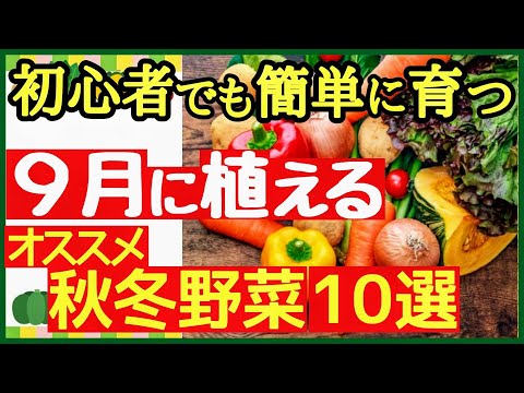  9月に植える野菜は何ですか？  庭園