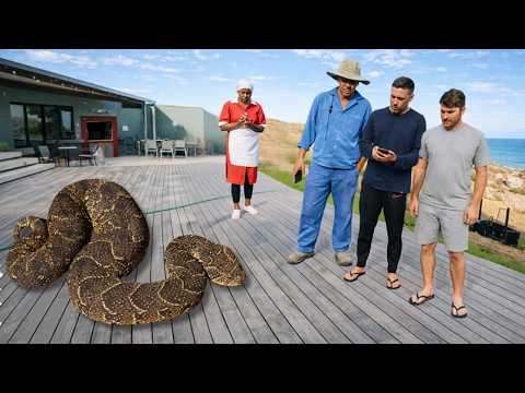 Man Finds Deadly Snake In His Yard