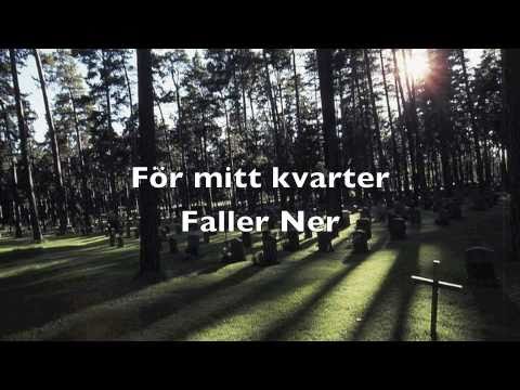 Hamodii (H2O) - Faller Ner (Ny version)