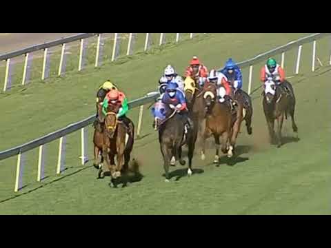 ASTRIX - Turffontein 10/10/20