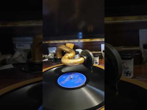 Who Wouldn't? (Irving Kaufman) The Astorites Velvet tone Records #1201 1926