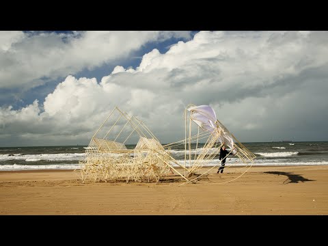 strandbeest evolution 2024