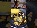 Priyanka Chopra S Stuffed Omelette Recipe