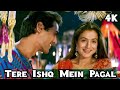 Tere Ishq Mein Pagal Ho Gaya Jhankar HD Humko Tumse Pyar Hai 2006 Alka Yagnik Udit Narayan