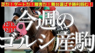 今週のゴールドシップ産駒 (12/13,14)【芝だ！ダートだ！障害だ！舞台選ばず勝利掴む！／ゴールデンスロープ,マイネルオーシャンなど】
