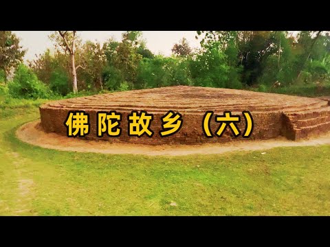 迎毗設施