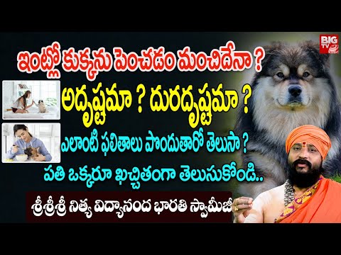 ఇంట్లో కుక్కనుపెంచడం మంచిదేనా ?..| Unknown Facts About Dogs | Sri Nitya Vidhyananda Bharati Swamiji