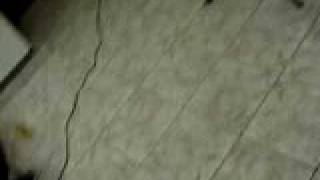 Emirante Teixeira Cabelera...