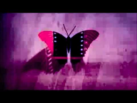 GIUSEPPE CUCE ' - Farfalle