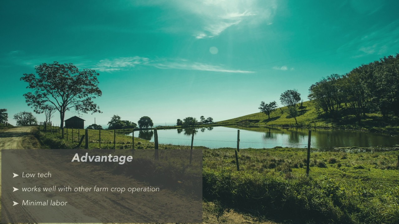 Pond Aquaculture system