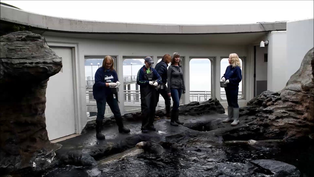 Seattle aquarium behind the scenes Part 1