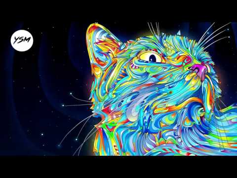 Quebird - Brain's Catcher (long version) [ACIDCORE]