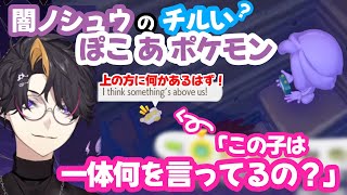 チルい？闇ノシュウのぽこあポケモン~イバラの道を行くダウジング編~【闇ノシュウ】