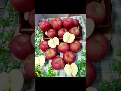 Disponibles por zelle en Bayamo Granma 832 233 6332