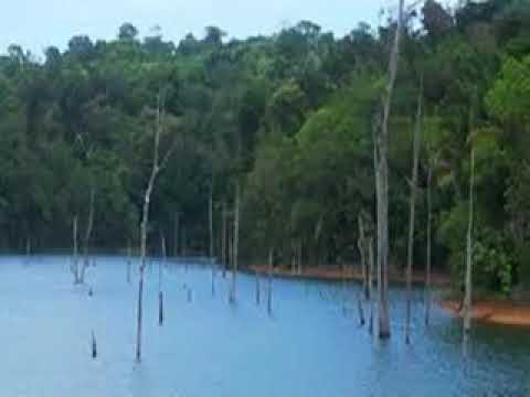 BEST OF DJALO ALEKE MUSIC