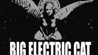 Big Electric Cat - Bed of Nails