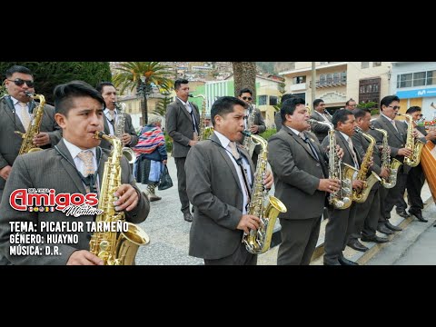 PICAFLOR TARMEÑO, PIEDRITA BLANCA (HUAYNO) / ORQ. AMIGOS DEL MANTARO