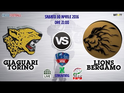 Giaguari Torino vs Lions Bergamo