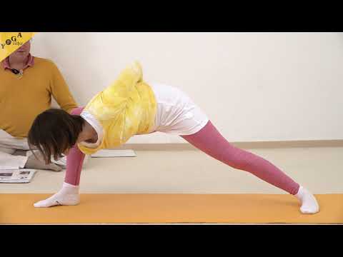 Baddha Parshva Konasana - Asana Lexikon 255