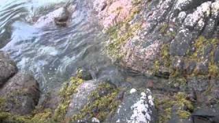 SUNKEN TREASURE Gil Evans