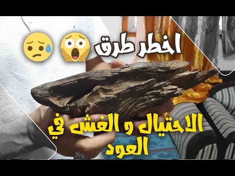 شاهد الفيديو