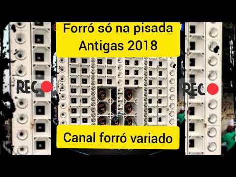 forrozao so na pisada 2018 susseso de paredao