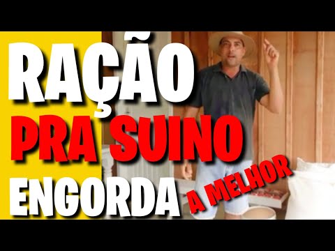 , title : 'MELHOR RAÇÃO PRA PORCO ENGORDA VEJÁ'