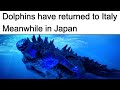 GODZILLA MEMES