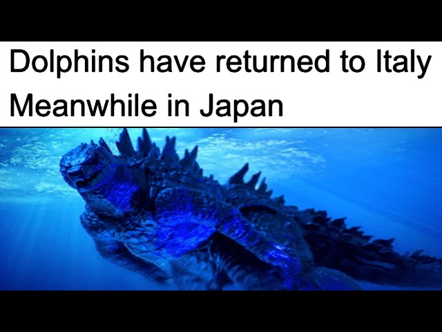 GODZILLA MEMES