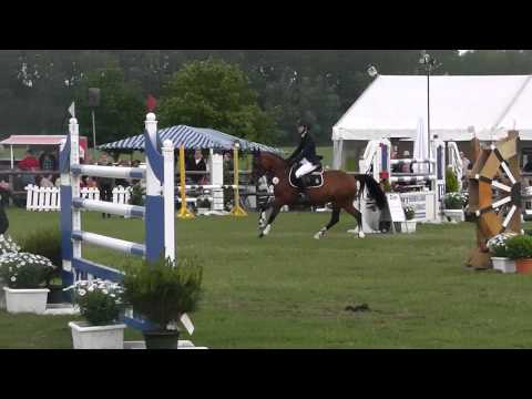 5j Nemax-Pony 144 zu verkaufen