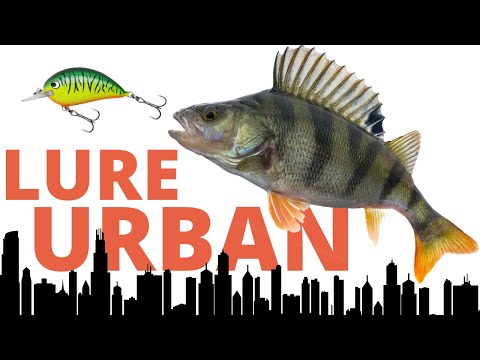 Lura Urban - Ultralight Fishing For Perch And Chub || the occasional angler