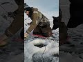 Video Thumbnail for Beat Down On Jumbo Perch