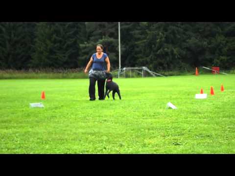 Rallylydnad Fortsättningsklass Smilla Ånge 12 augusti 2012